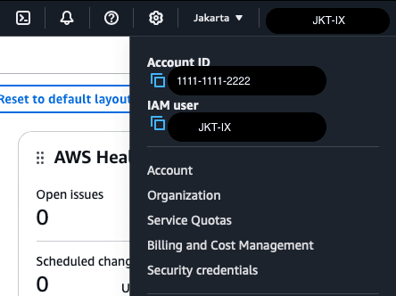 dashboard aws dx